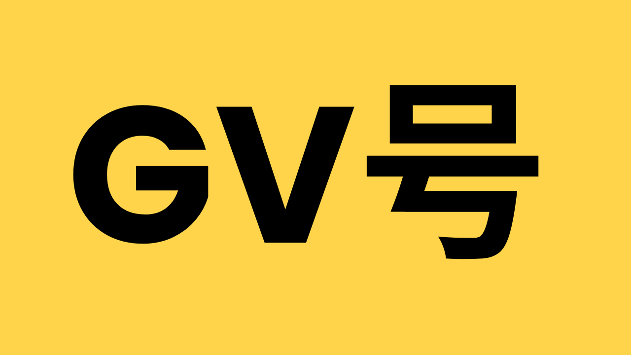 GV号